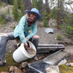 Gold Prospecting Clubs Colorado